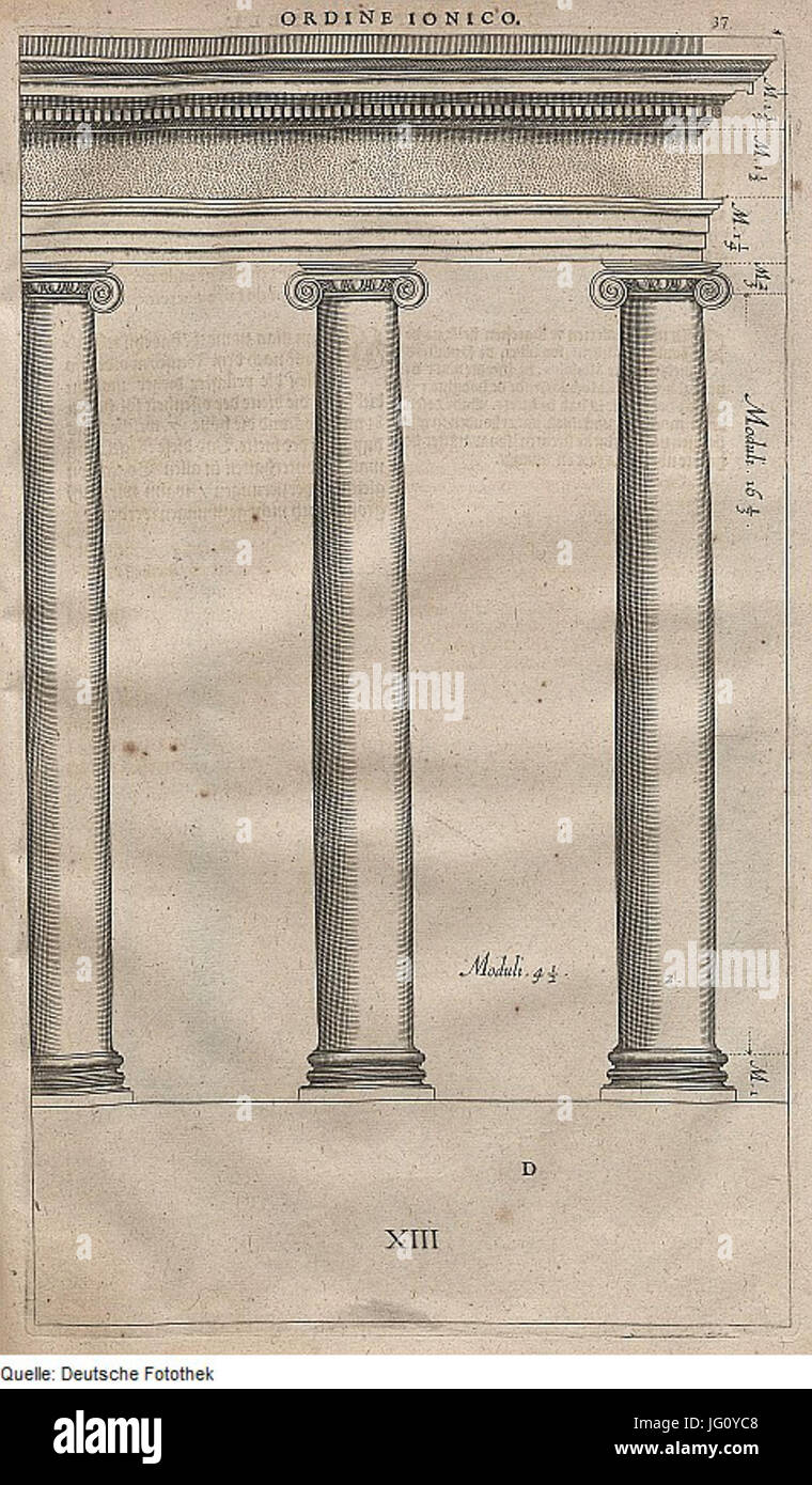 Fotothek df tg 0003905 Architektur 5E Bauwesen Säule 5E 5E 5E Base ionische Ordnung Kapitell 5E 5E 5E K Frites Banque D'Images