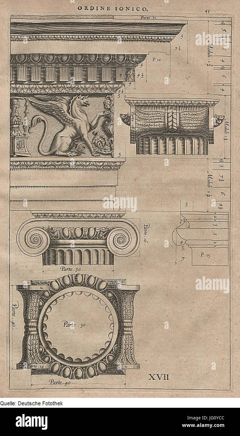 Fotothek df tg 0003909 Architektur 5E Säule 5E ionische Ordnung Kranz 5E 5E 5E Epistyl frites Banque D'Images
