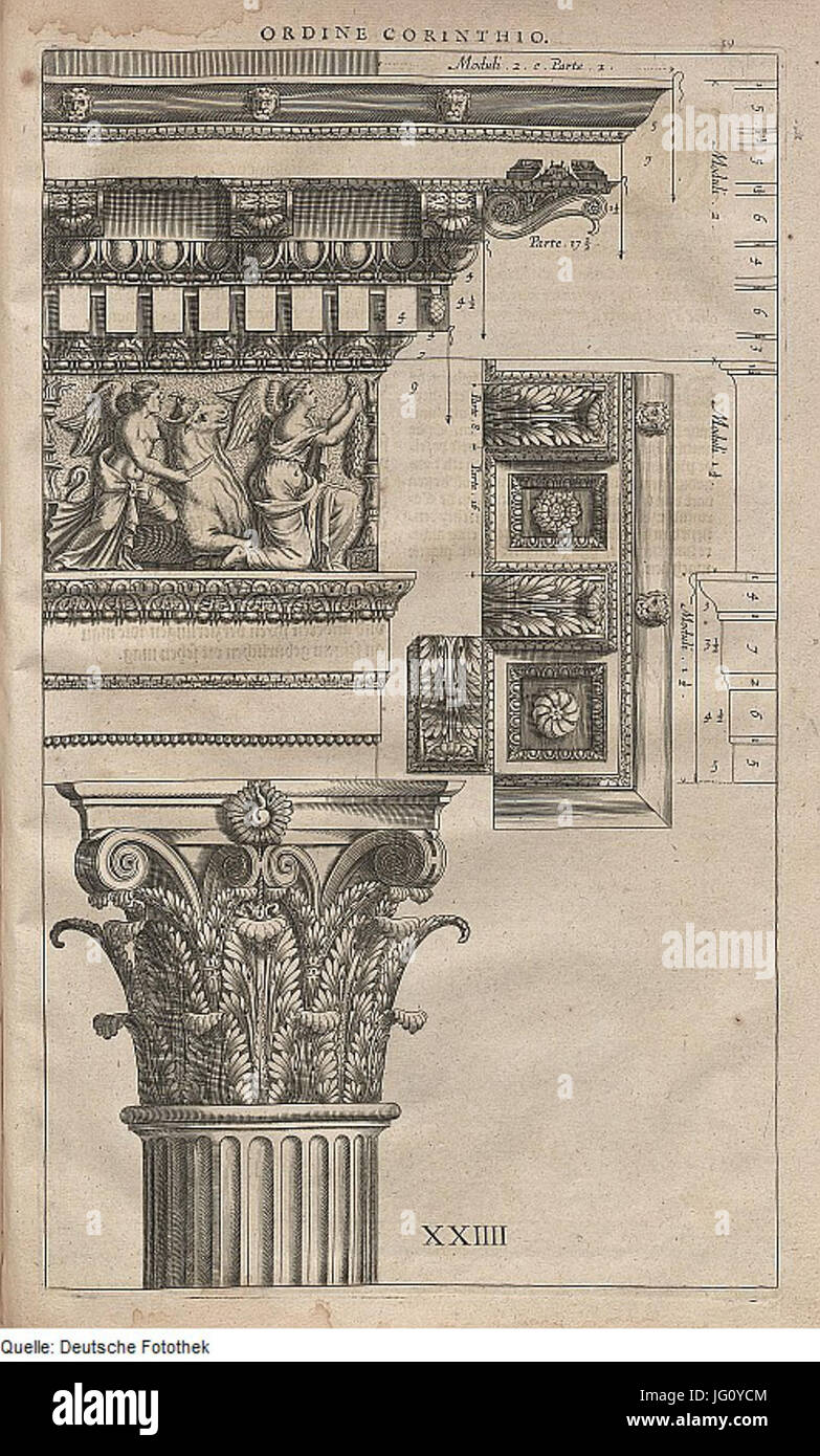 Fotothek df tg 0003916 Architektur 5E Säule 5E korinthische Ordnung Kranz 5E 5E 5E Epistyl frites Banque D'Images