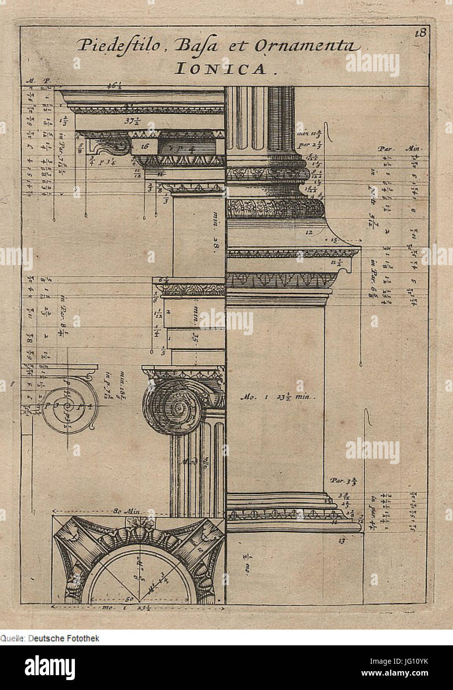 Fotothek df tg 0004919 Architektur 5E Säule 5E, 5E 5E Kapitell Piedestal Volute 5E 5E 5E Fries Architrav Banque D'Images