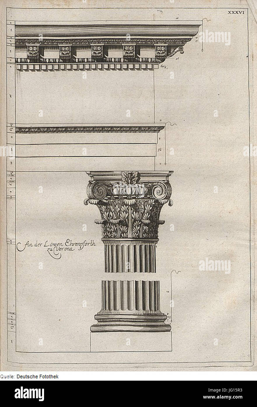 Fotothek df tg 0008016 Société Säulenordnung 5E 5E, 5E 5E Gebälk Kapitell frites 5E 5E 5E Gesim Faszie Banque D'Images