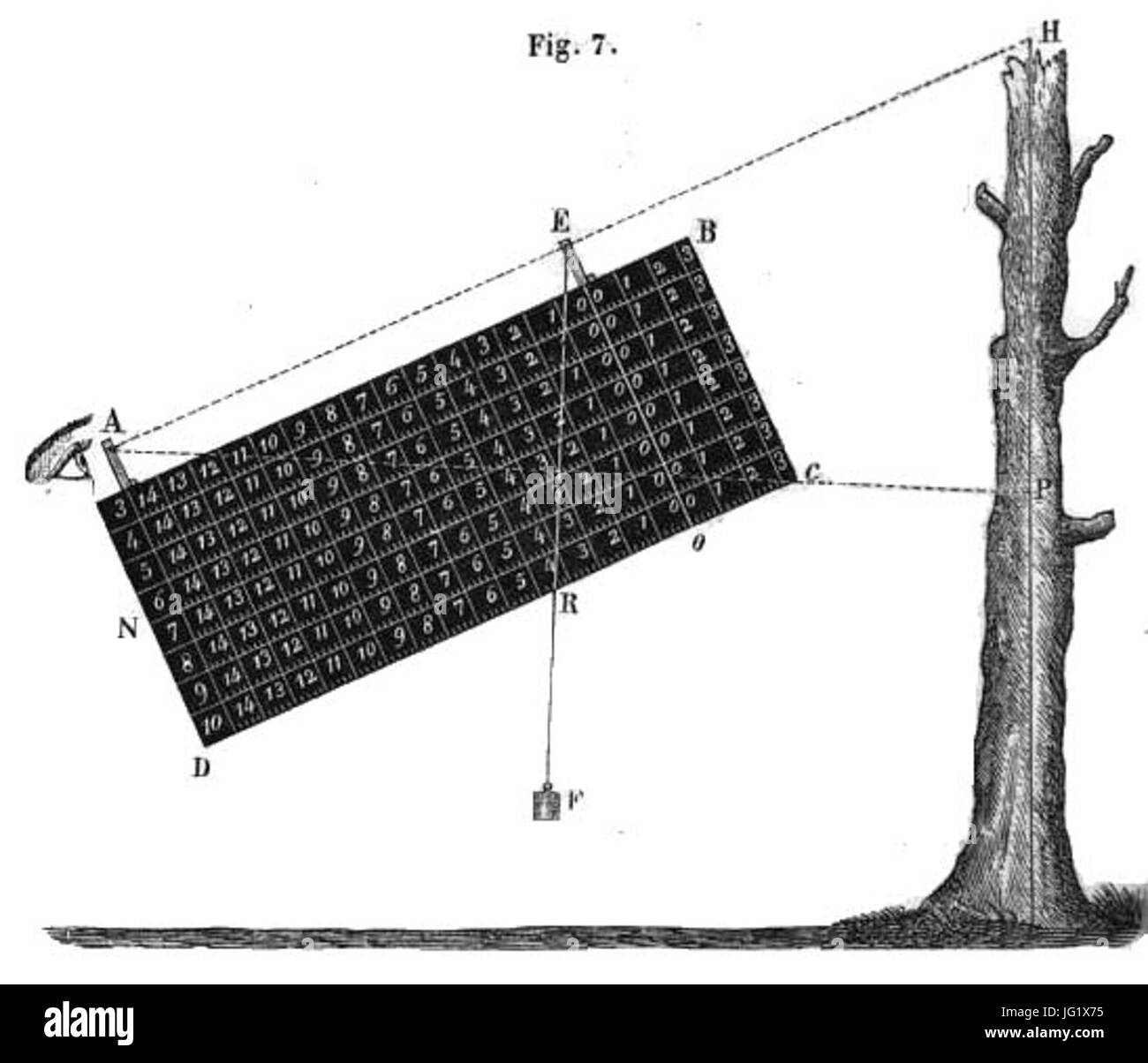 Dendromètre Banque D'Images