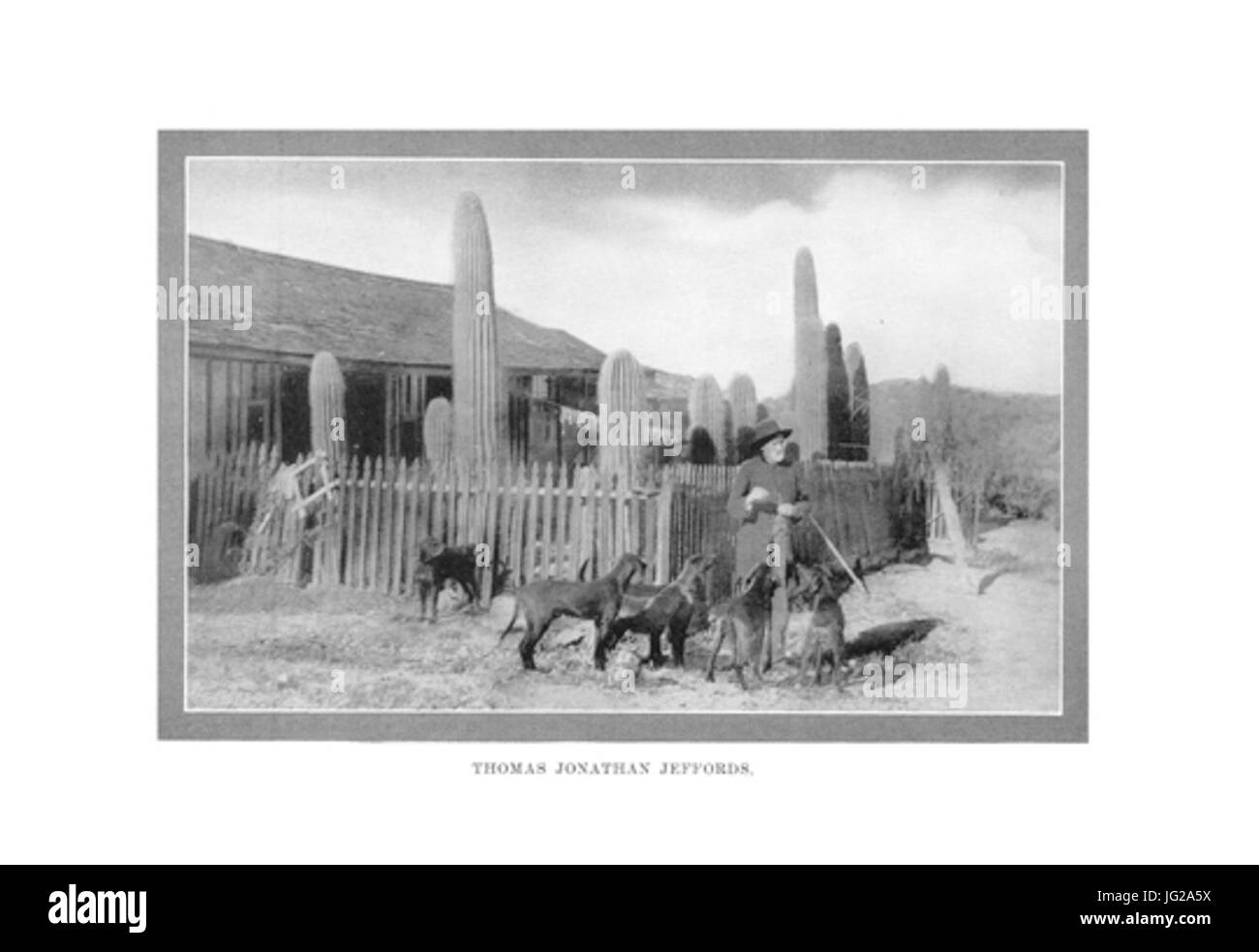 Jeffords Haus26Hunde Banque D'Images