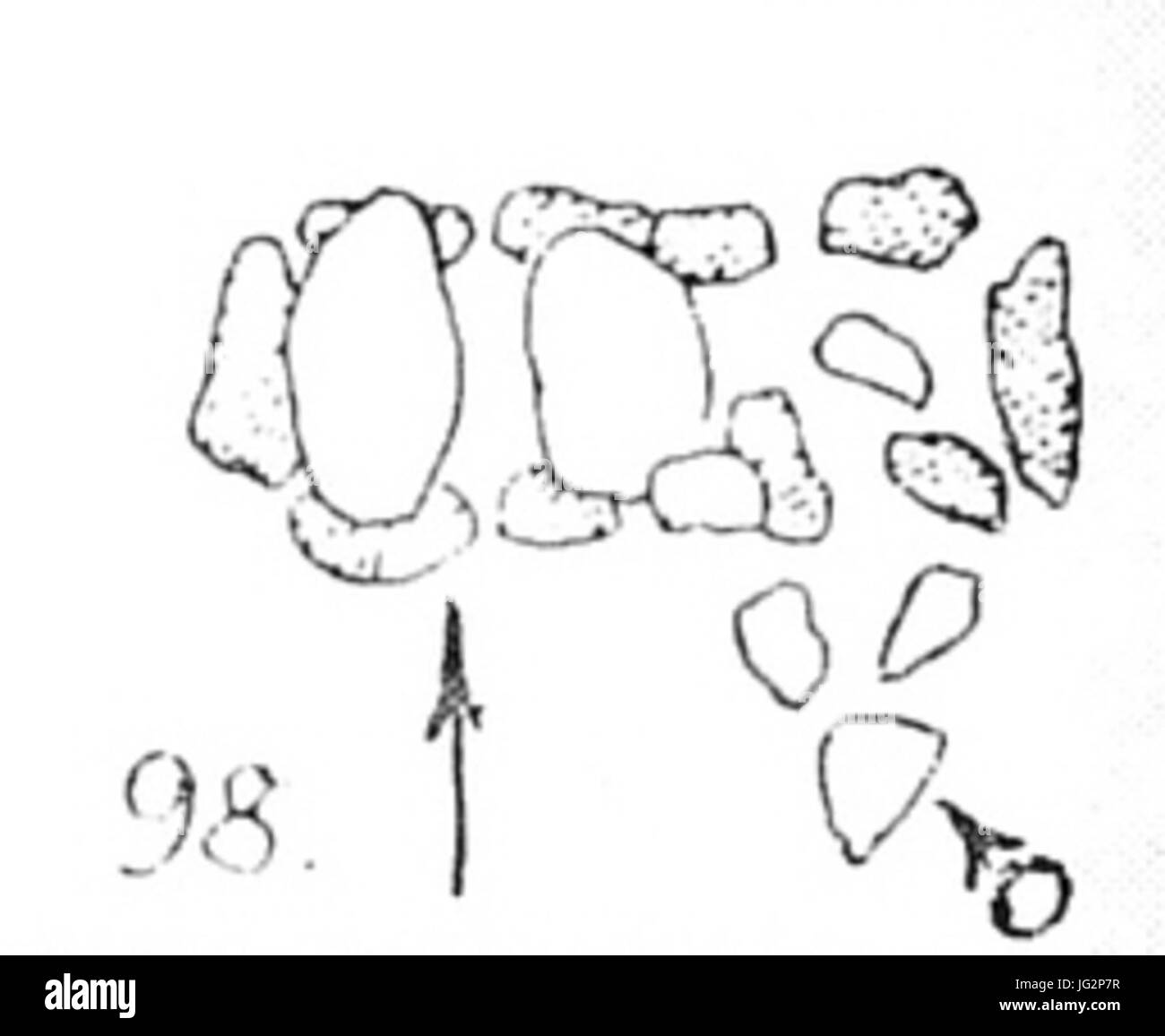 Großsteingrab Plan Schoetensack Nettgau Krause Banque D'Images