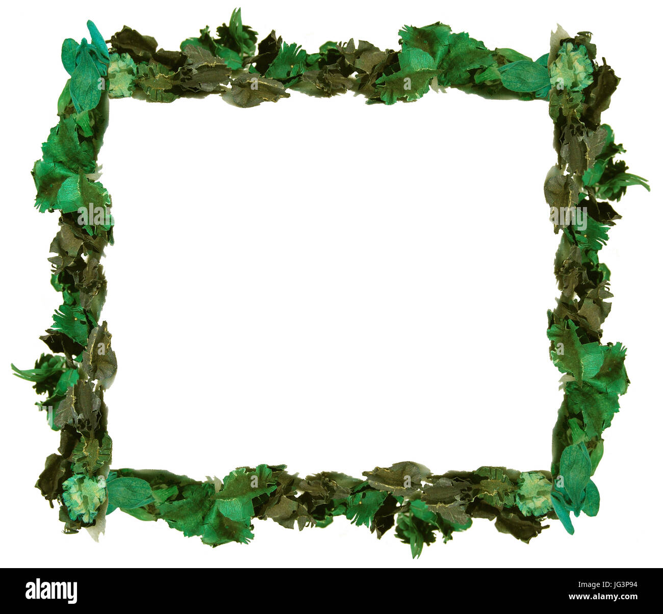 Motif de feuilles sous la forme d'un cadre, des tons verts Banque D'Images
