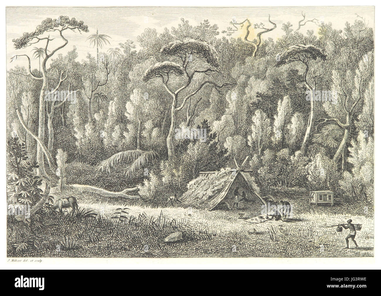 MILBERT(1812) P055 - ơ38Ele-de-France, vue prise dans les EAC de la Montagne du pouce Banque D'Images
