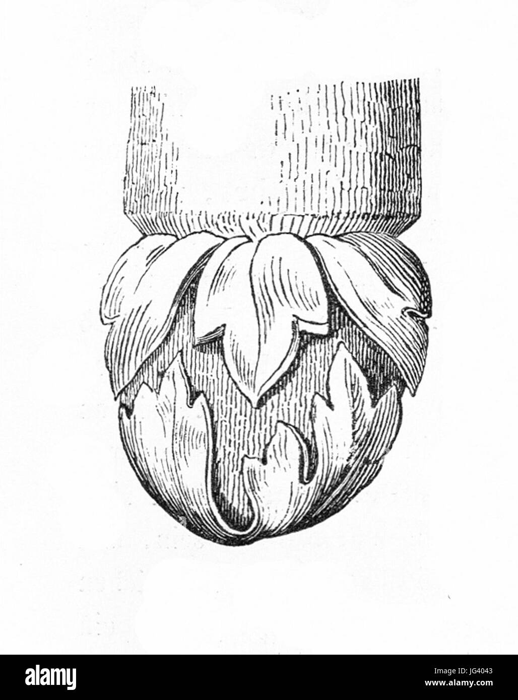 MZK 001 Nr 10 Charakteristik der Baudenkmale Böhmens - Fig. 25 Synagoge Prag - Alt- und Konsole 01 Neuschul Banque D'Images
