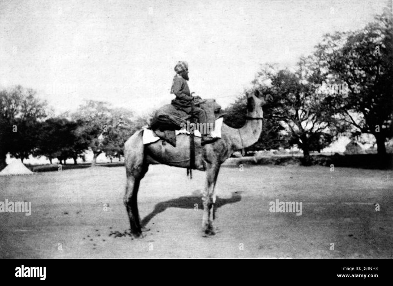 PL Józef Potocki-Notatki Indyi myśliwskie z 141 photo Banque D'Images