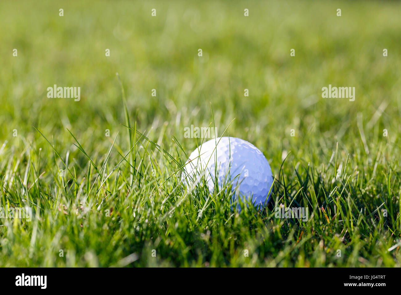 Balle de golf sur le fairway Banque D'Images