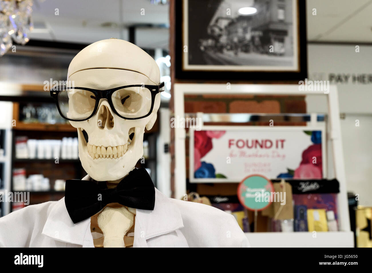 Squelette humain portant des lunettes et noeud papillon dans une vitrine Banque D'Images