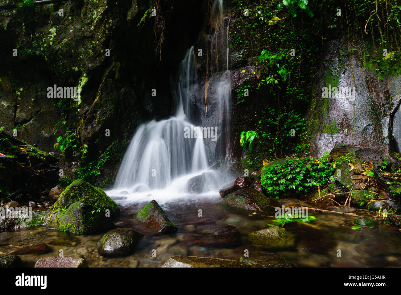 Débit d'eau de source naturelle dans la nature Banque D'Images
