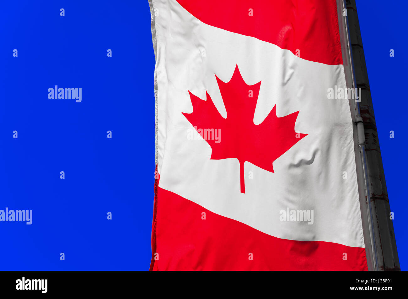 Drapeau canadien vertical étroit contre le ciel bleu Banque D'Images