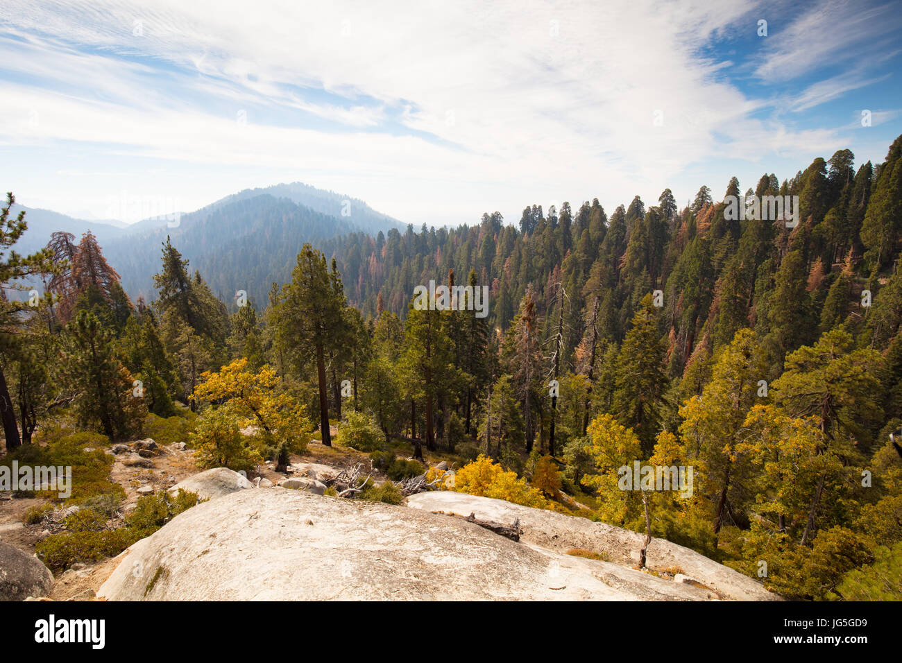 Point d'observation du général l'autoroute à Sequoia National Park en Californie, USA Banque D'Images