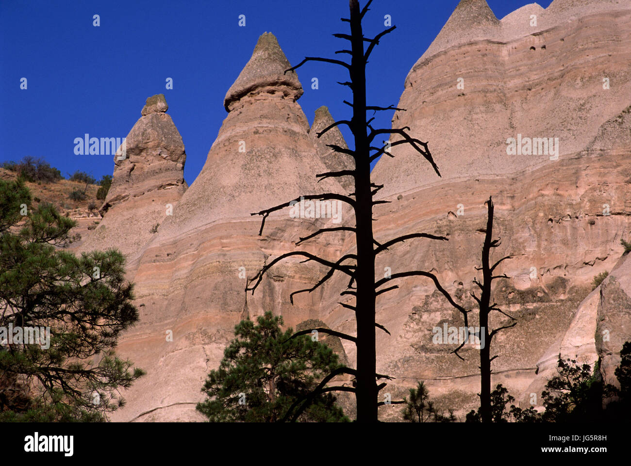 Canyon Trail view, Kasha-Katuwa tente Rocks National Monument, Nouveau Mexique Banque D'Images