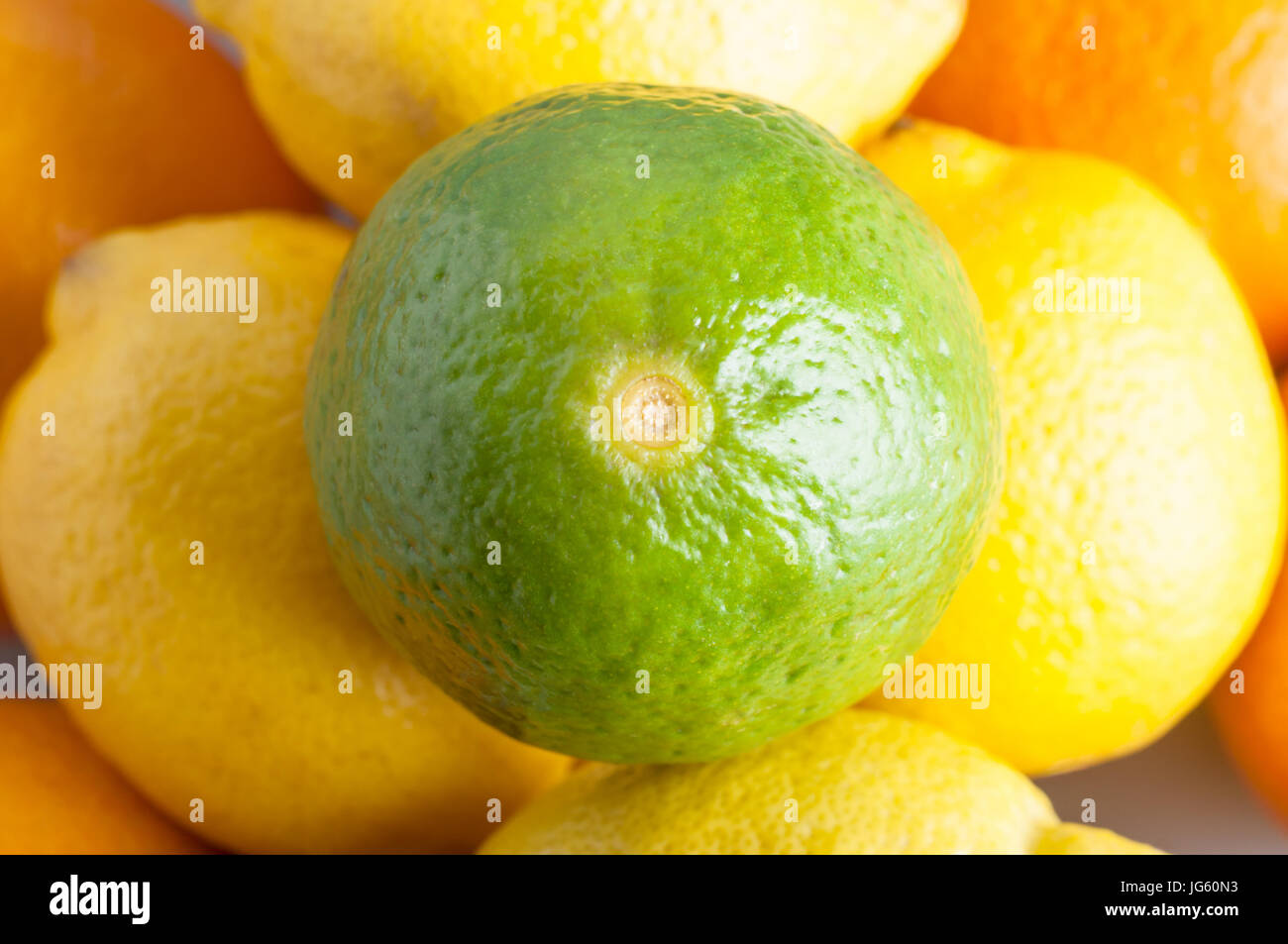 Gros plan (macro) overhead shot d'un lime, assis au sommet d'une tour de citrons, sous laquelle sont oranges. Représente les agrumes contenant la vitamine Banque D'Images