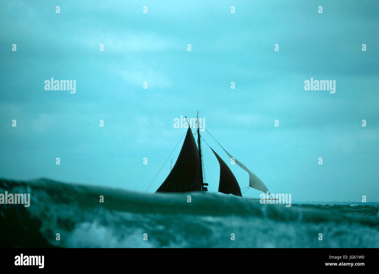 AJAXNETPHOTO. SOLENT, en Angleterre. - Vieilles coques - course à l'OUEST DU SUD GALE Malaxe jusqu'UNE MER RUGUEUSE COMME GAFF RIGGED YACHT DE LUTTES DANS LES MAUVAISES CONDITIONS. PHOTO:JONATHAN EASTLAND/AJAX REF:77019 Banque D'Images