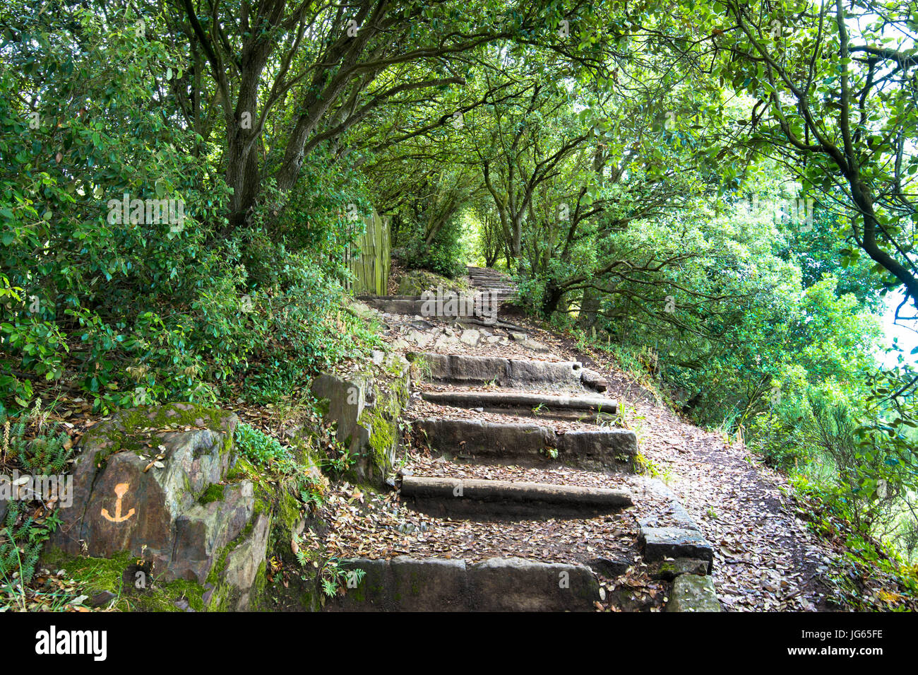 Sentier du littoral à Cancale, Bretagne Banque D'Images