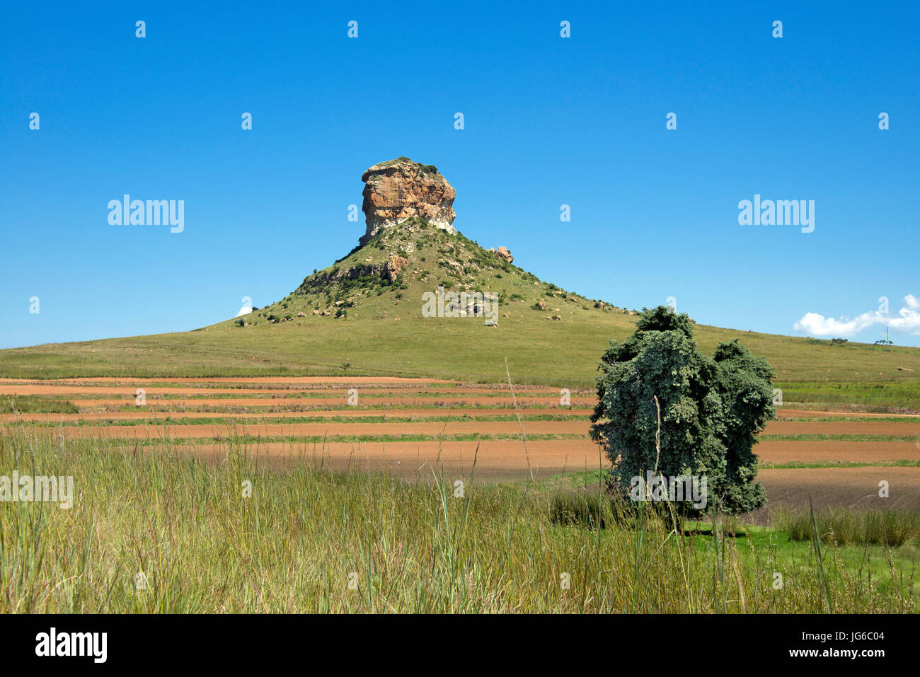 Affleurement rocheux près de Clarens Free State Afrique du Sud Banque D'Images