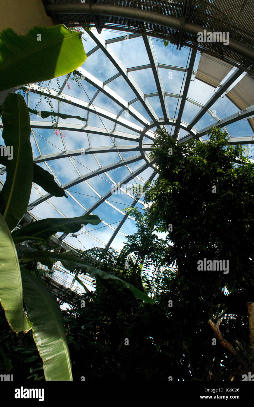 Sunderland Museum et jardins d'hiver Banque D'Images