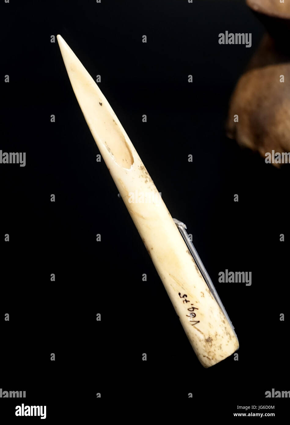 Pointe de projectile, Ludwigsburg, Schlosslesfeld, Kreis Ludwigsburg, 4100-3800 avant J.-C., l'os animal - Landesmuseum Württemberg, Stuttgart - Allemagne - DSC0 35 Banque D'Images