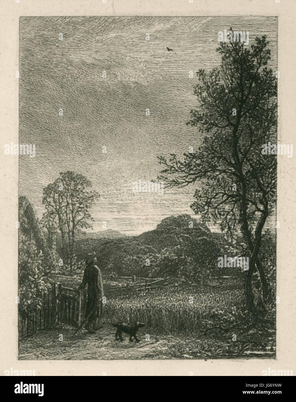 Samuel Palmer - l'Sky-Lark 1850 28l 185729 Club Gravure Banque D'Images