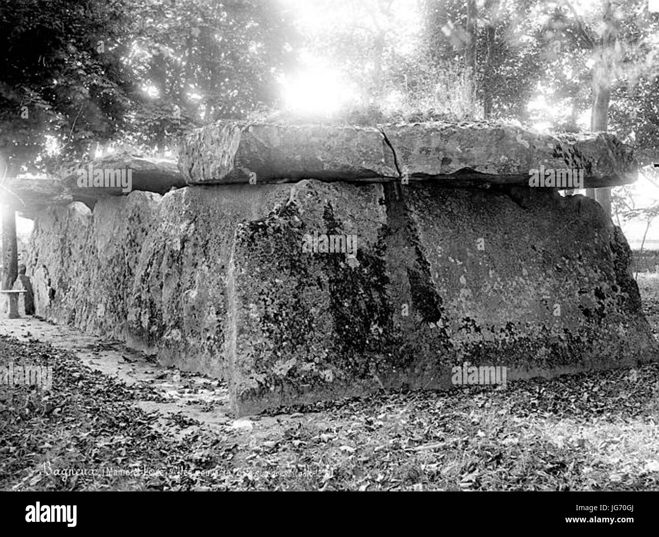 Saumur - Allée couverte de Bagneux - Mieusement 01 Banque D'Images