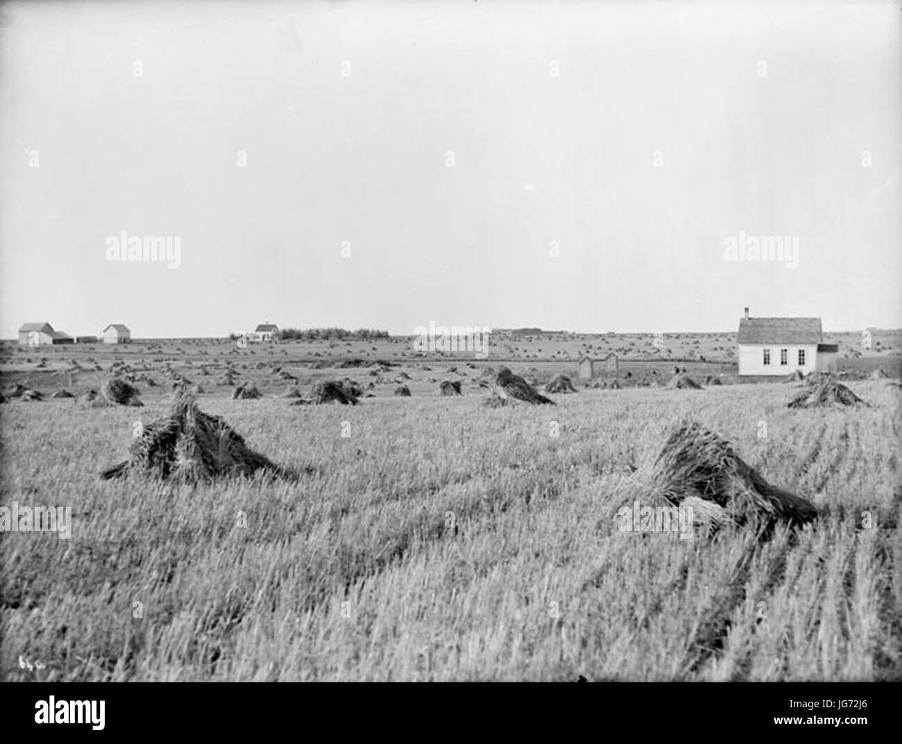 Maison d'école de fermes etc. Morden au Manitoba Banque D'Images