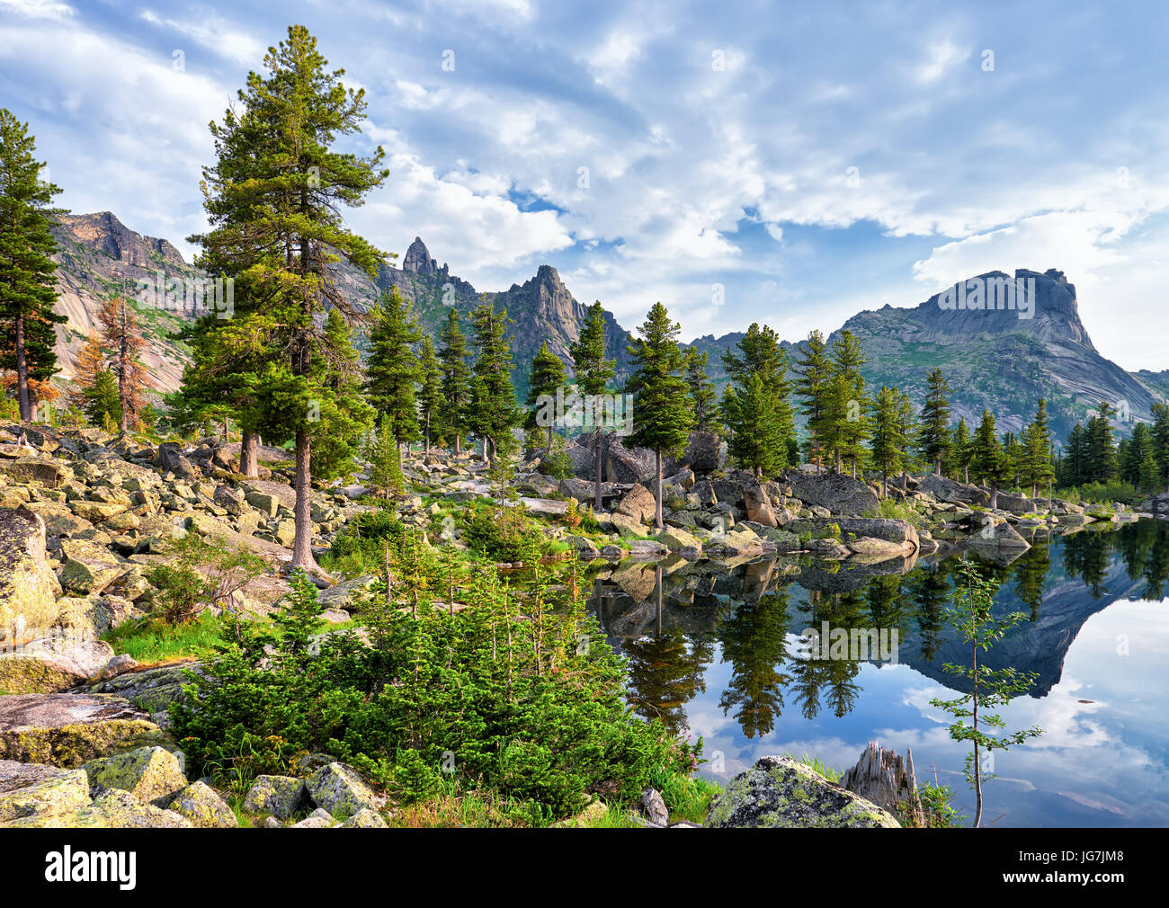 Forêt rare de Sibérie près de lac de montagne. Vallée est d'origine glaciaire. Les artistes du lac. Ergaki Ridge. Sayan de l'Ouest. La Russie Banque D'Images