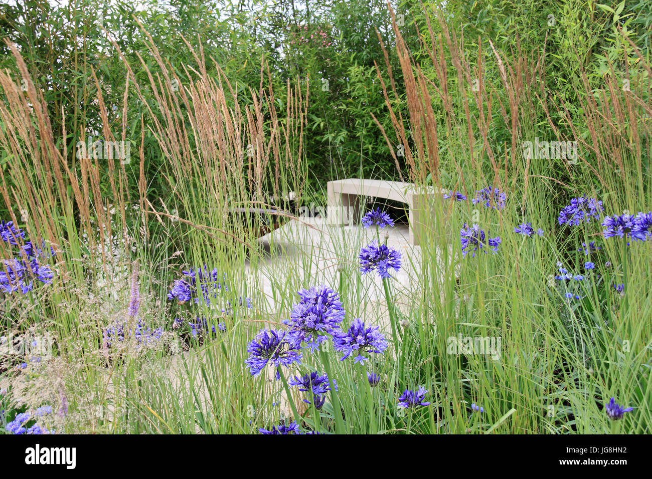 "Vivace sanctuaire Jardin", par Tom Massey. Médaille d'argent doré. Jardins pour un monde en évolution. RHS Hampton Court Palace Flower Show 2017, Londres, Royaume-Uni Banque D'Images