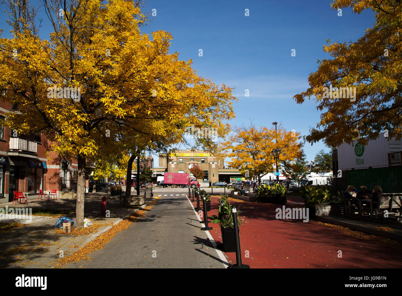 Arbre sur la rue Shamrock à Montréal, Canada. Le feuillage porte les couleurs de l'automne. Banque D'Images