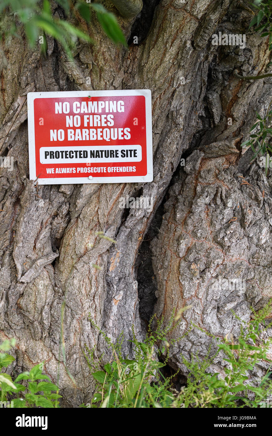 Le mot non souligné dans un avis visible interdisant le camping, les feux et barbecues. Banque D'Images