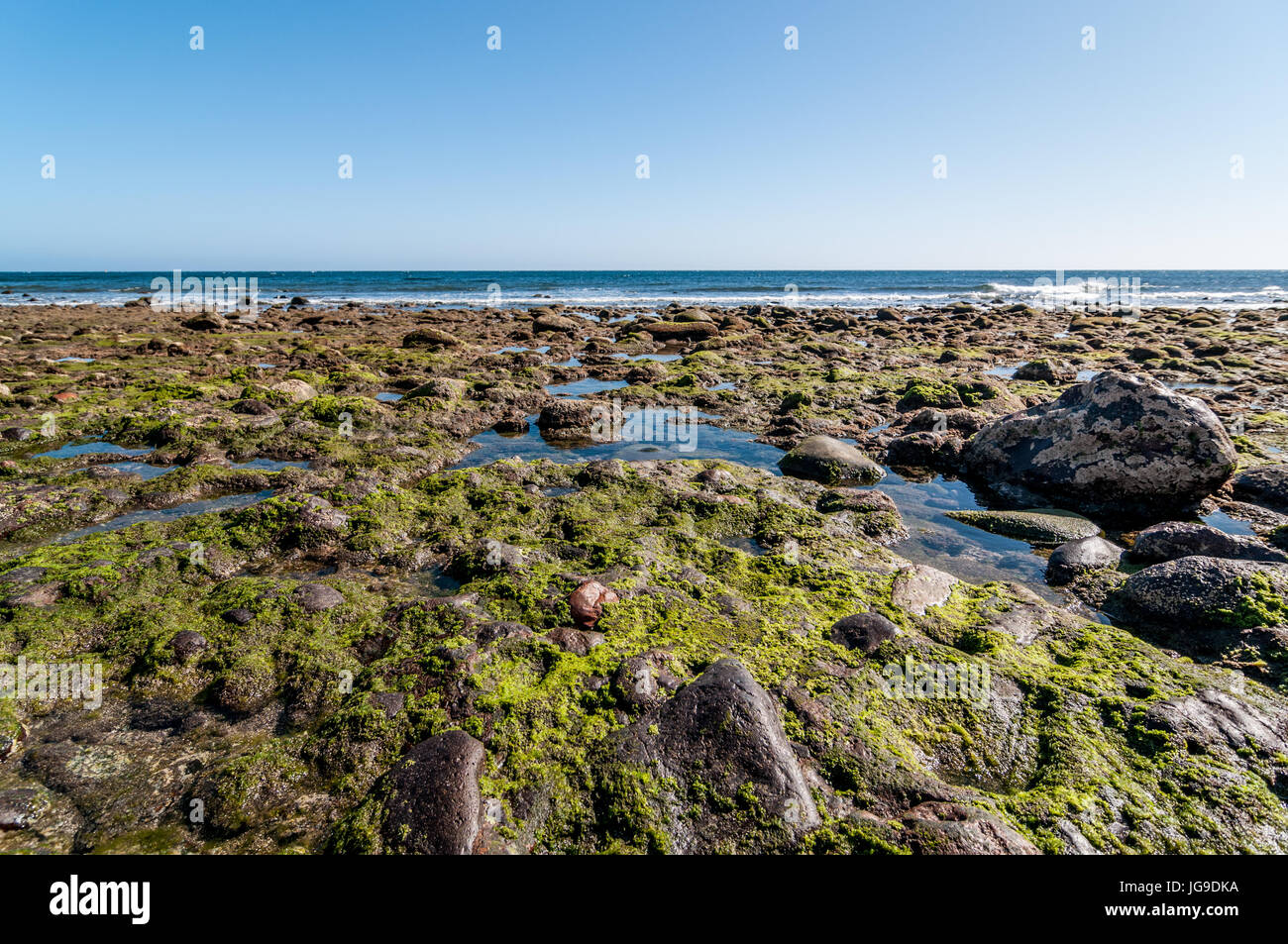 Plage de galets à Gran Canaria, Îles Canaries, Espagne Banque D'Images