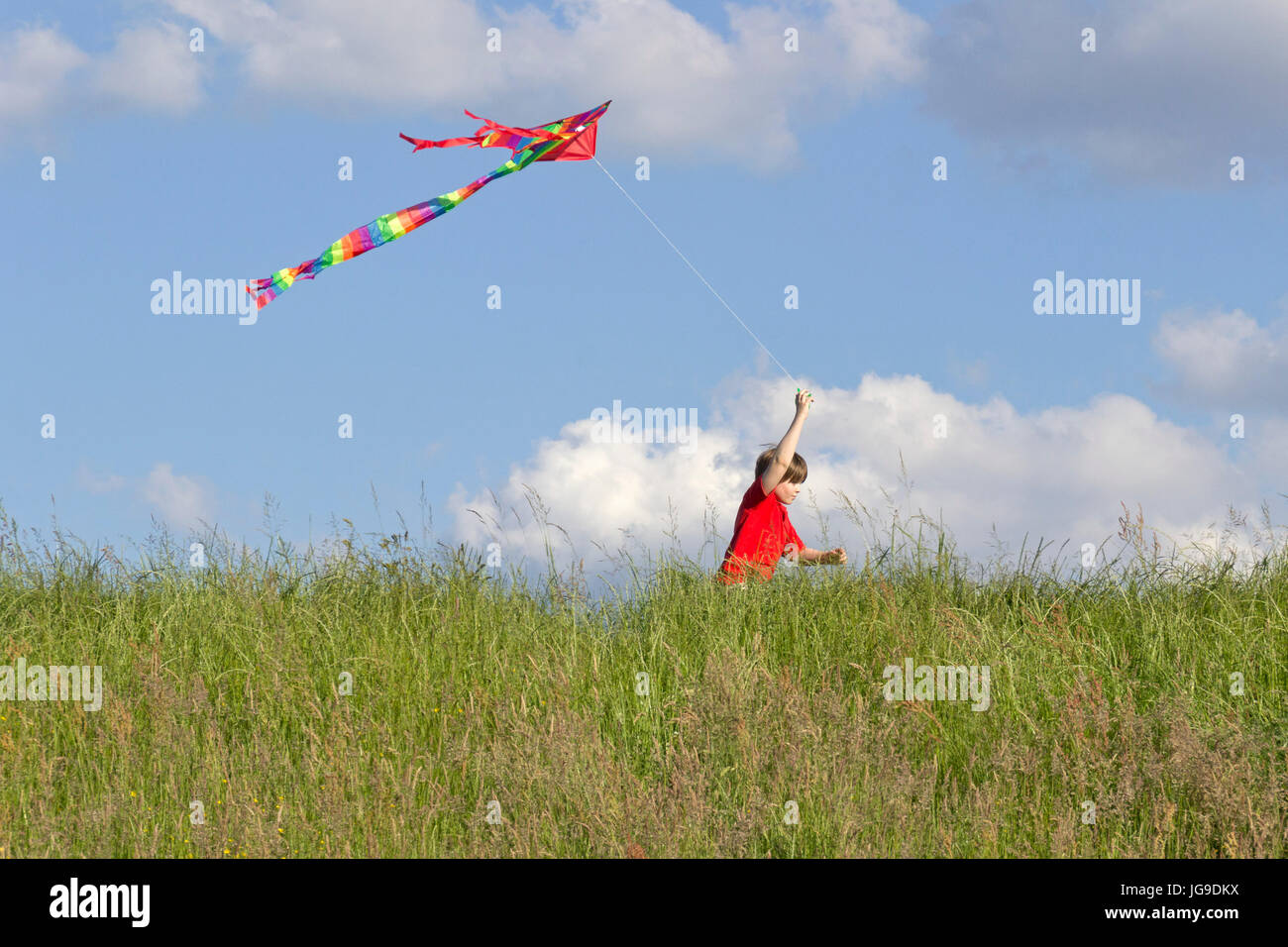 Jeune garçon flying kite, Bleckede, Basse-Saxe, Allemagne Banque D'Images