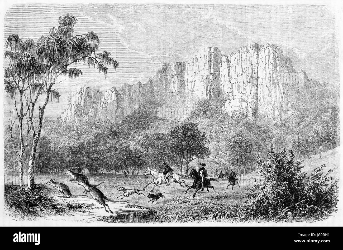 Vieille illustration de la chasse, kangourou en Australie. Créé par Girardet, après l'album de Castella, publié sur le Tour du Monde, Paris, 1861 Banque D'Images