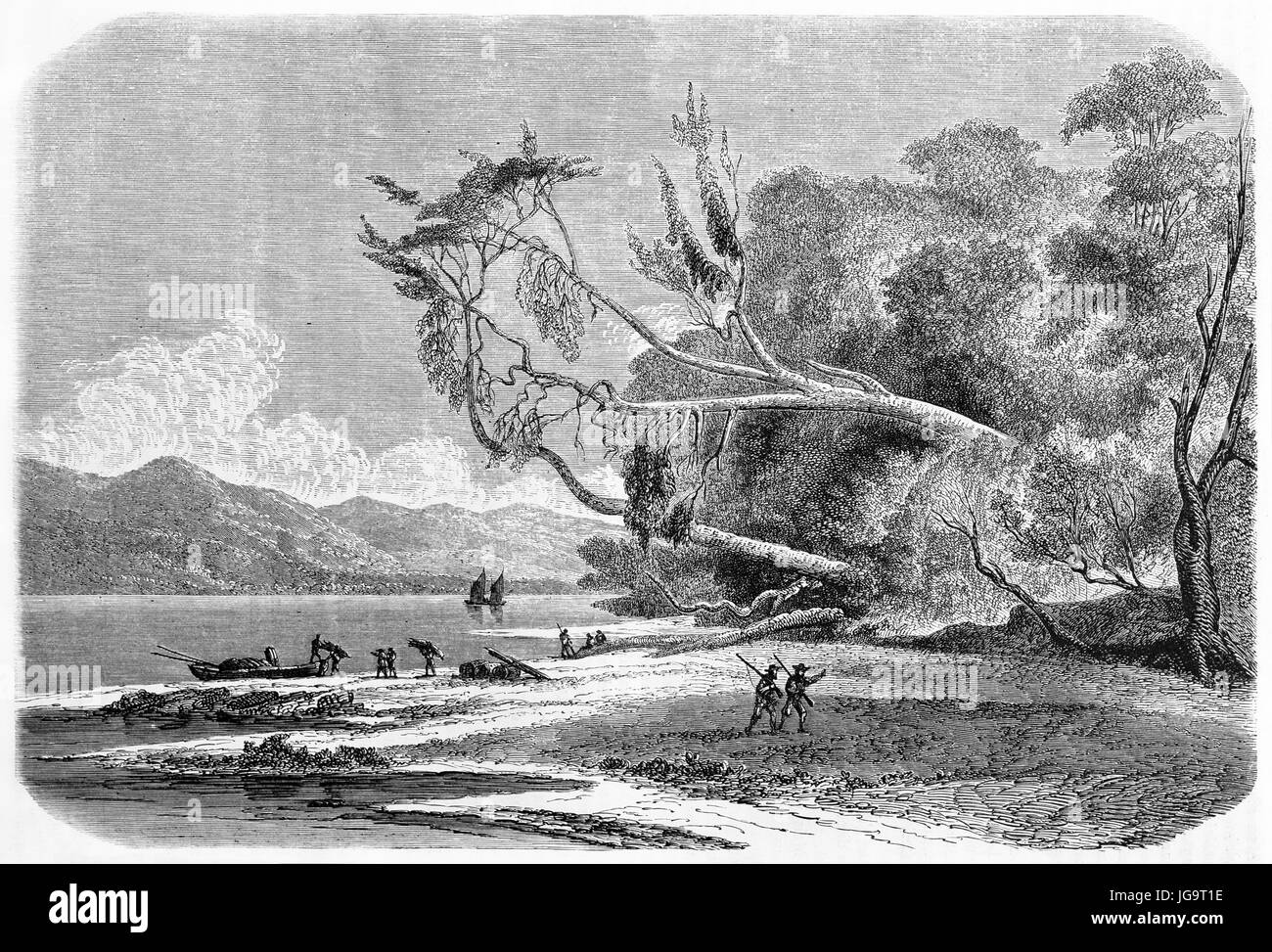 Tronc horizontal émergent de la végétation faisant face au paysage de la plage de la baie Saint-Nicolas, Chili. Art de style gravure de tons gris anciens par de Bérard 1861 Banque D'Images