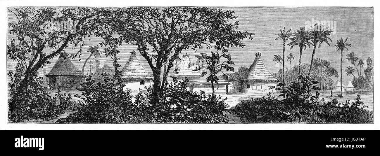 Village ethnique africain typique fait par des huttes venant de derrière des arbres de jungle, Guinée. Art de style gravure de tons gris anciens par Sabatier, 1861 Banque D'Images