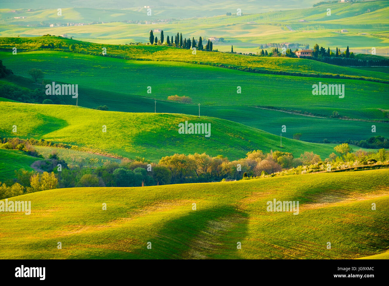Vagues hills, collines, paysage minimaliste avec des champs verts dans la Toscane. Italie Banque D'Images