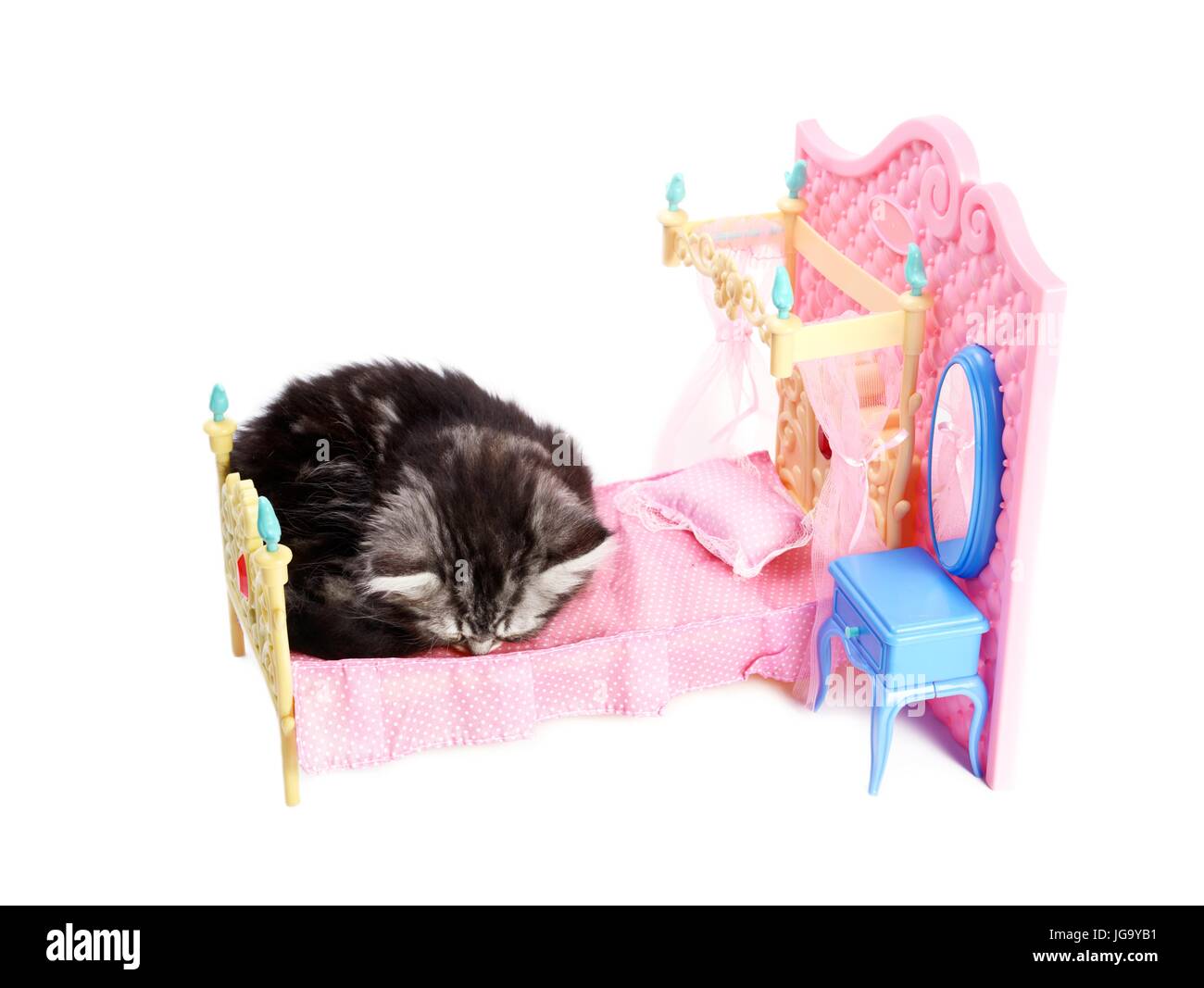 Kitty dormir sur un lit Banque D'Images