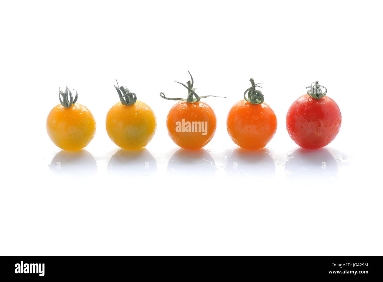 Gradient frais tomate cerise on white Banque D'Images