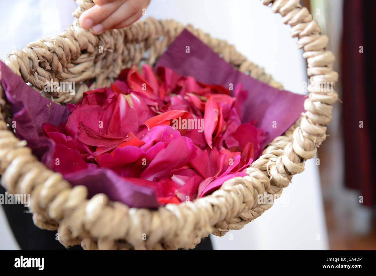 Panier de pétales de roses sur un mariage Banque D'Images