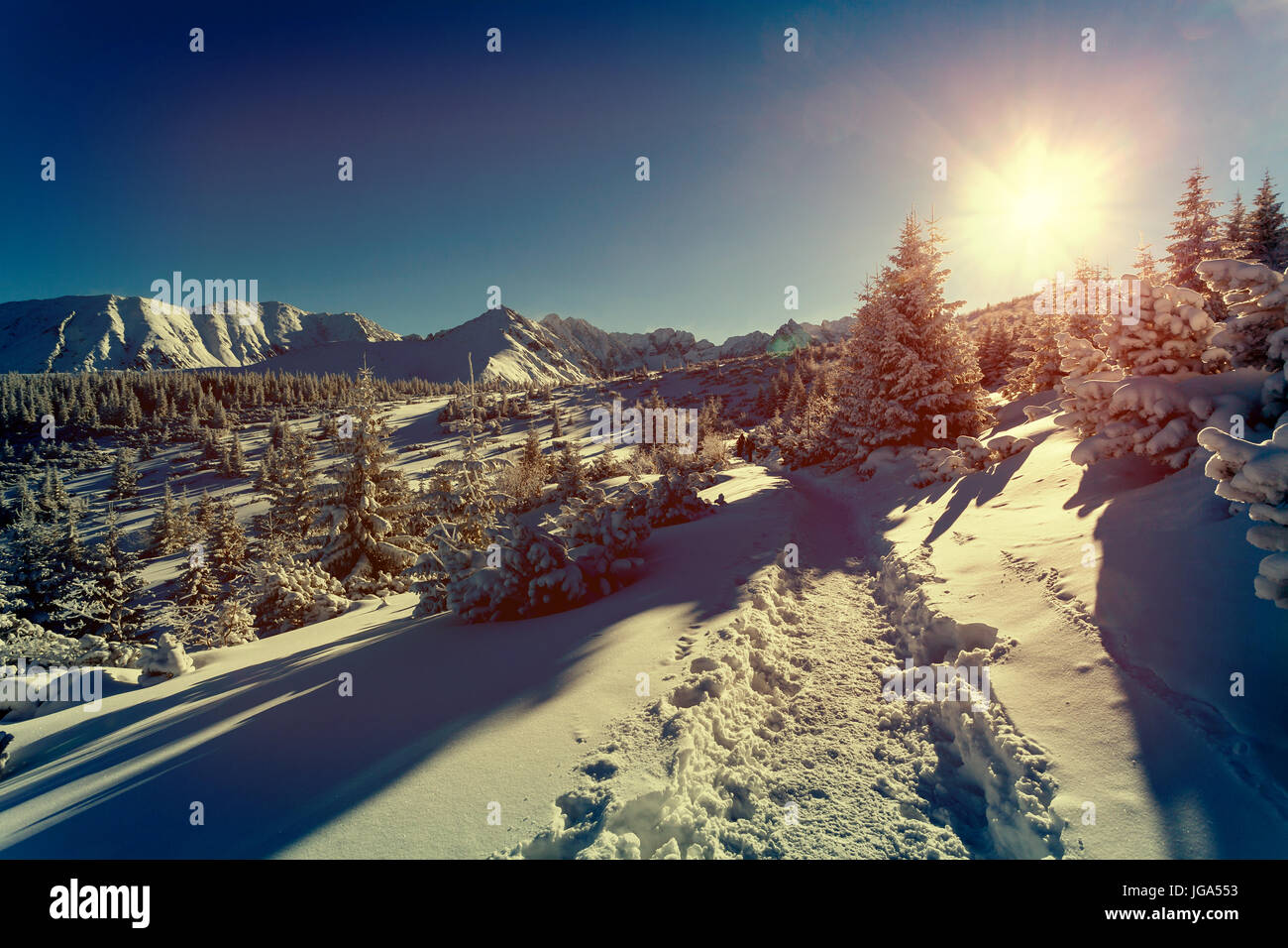 Paysage d'hiver avec coucher de soleil Banque D'Images