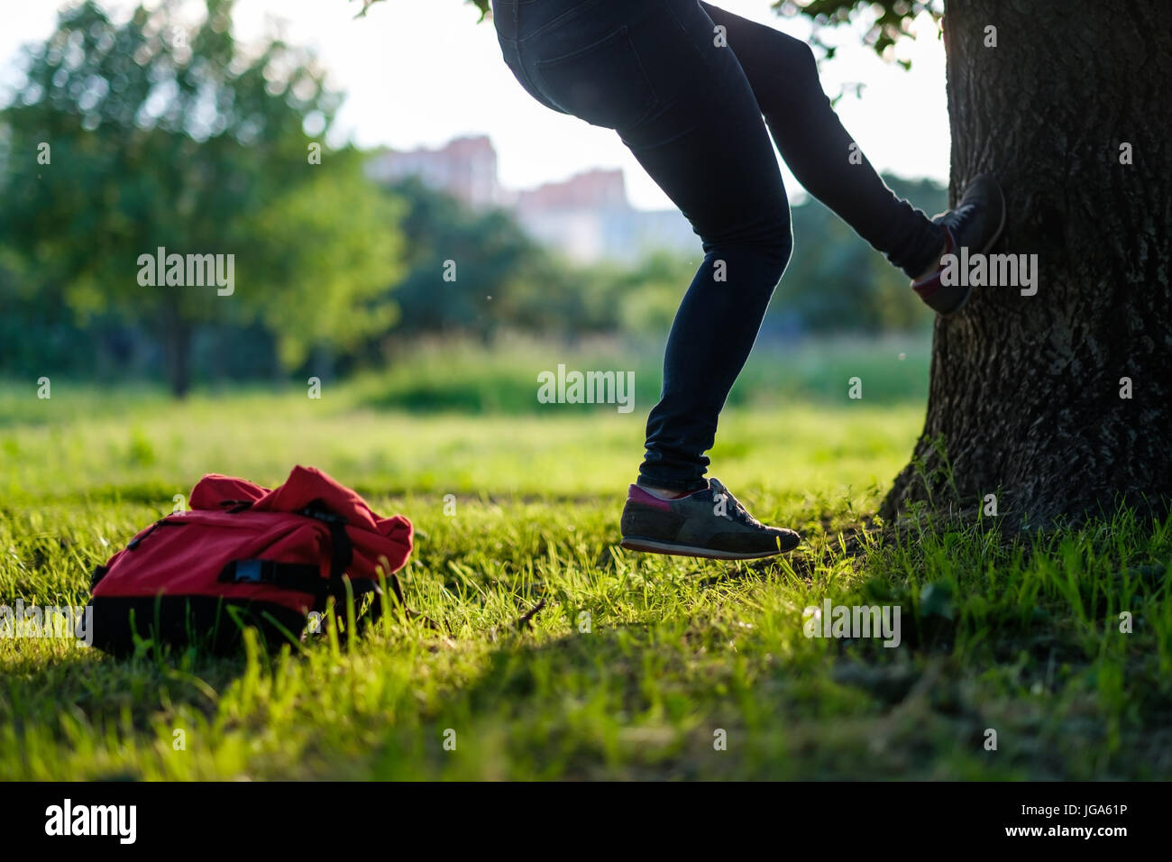 Jeune homme hipster de grimper sur un arbre dans un parc Banque D'Images