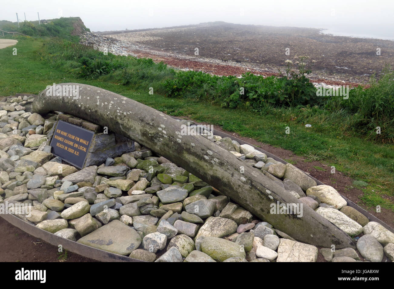 Kilmore Quay, Irlande Banque D'Images Kilmore Quay, Irlande Banque D'Images