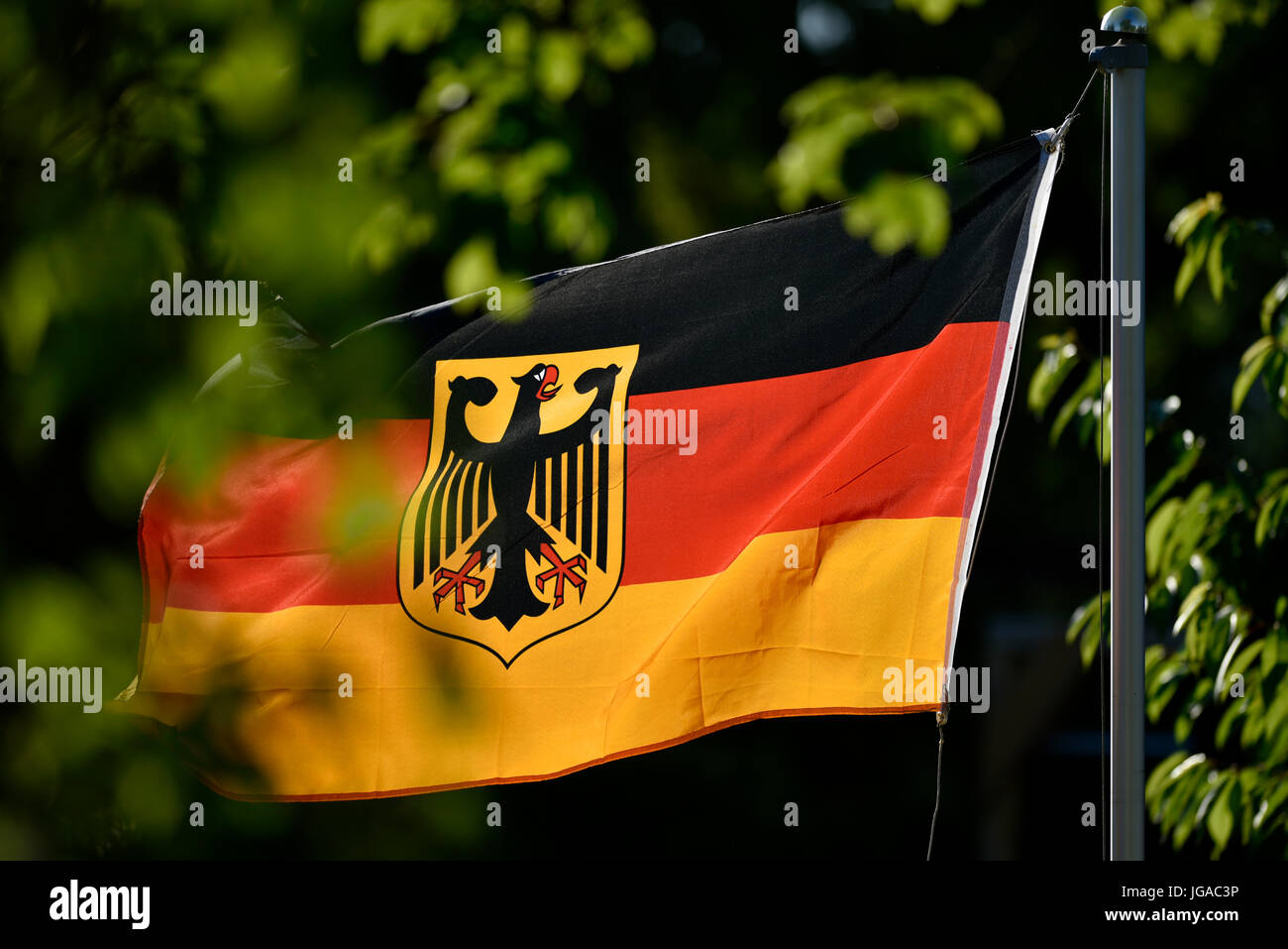 Drapeau Allemand Avec L Aigle Federal Allemagne Photo Stock Alamy