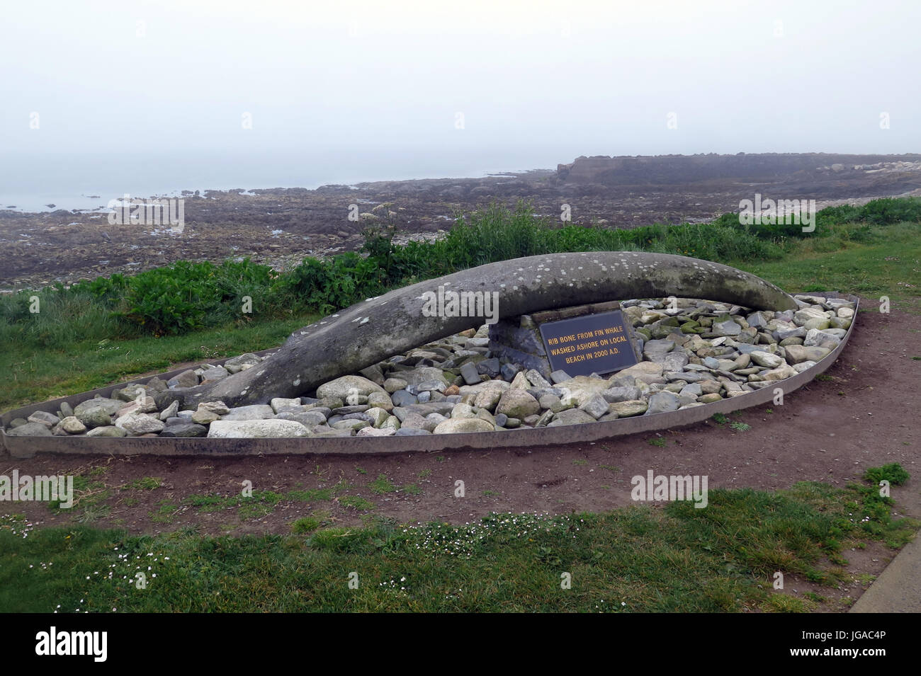 Kilmore Quay, Irlande Banque D'Images Kilmore Quay, Irlande Banque D'Images