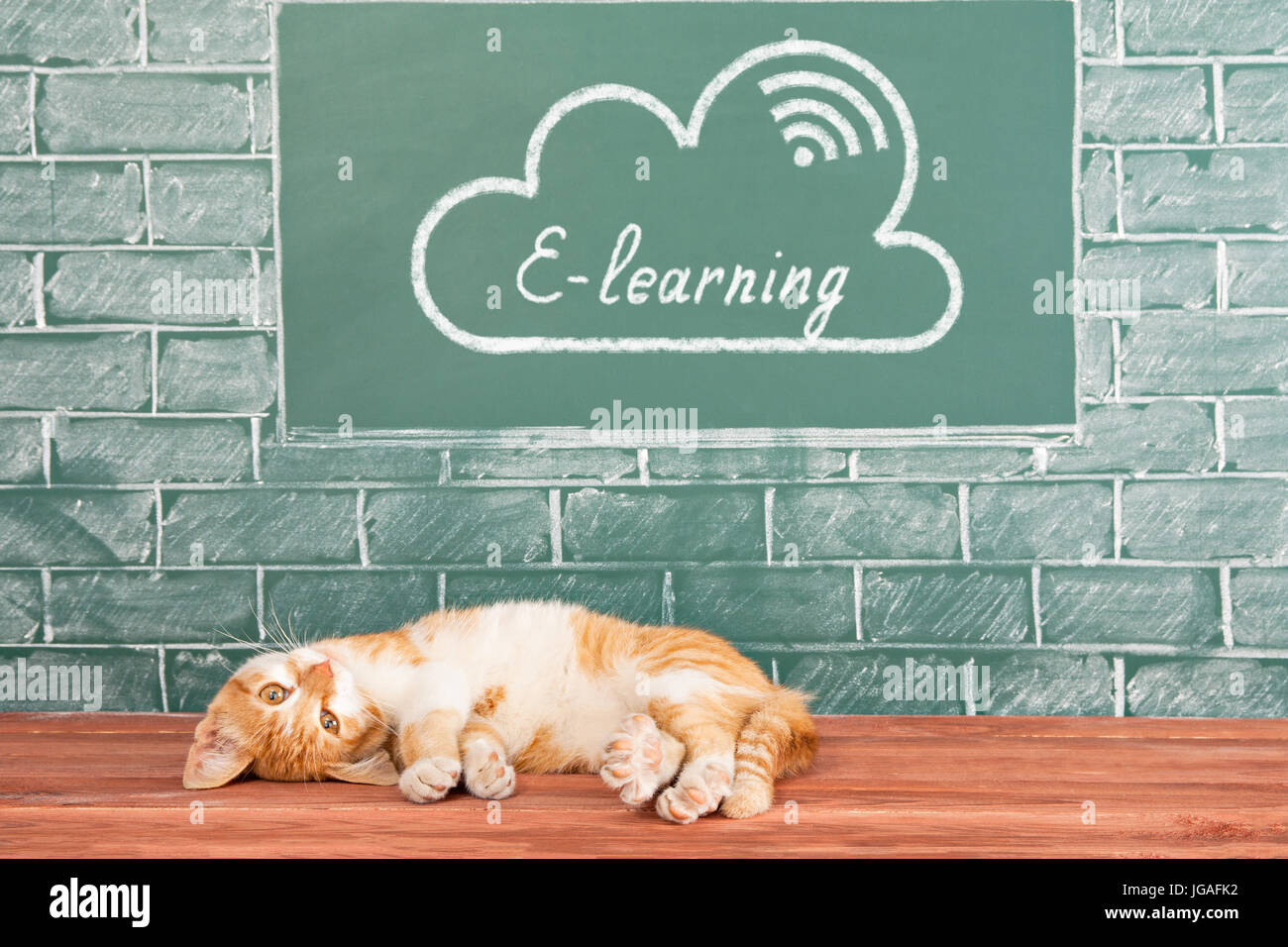E-Learning education concept avec cat. Les connaissances scientifiques, à la disposition de tous, même au lit Banque D'Images