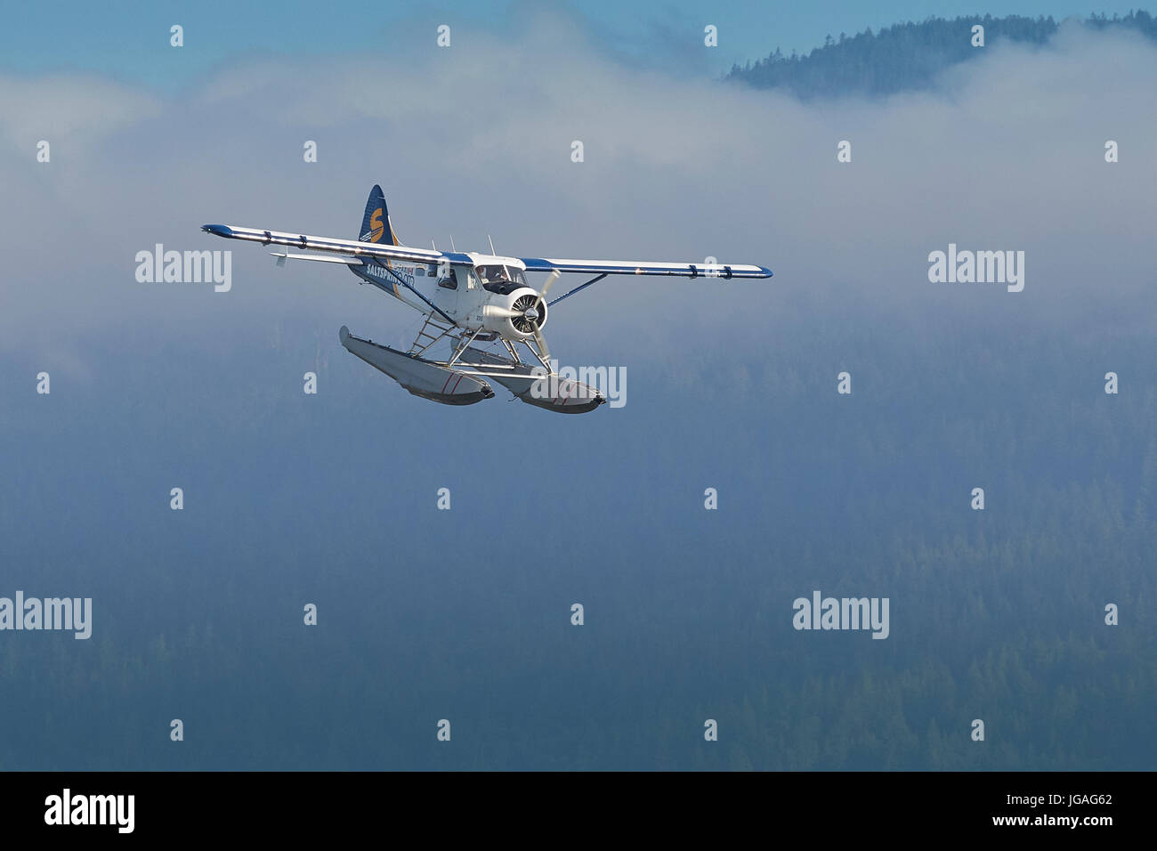 Un classique de Harbour Air Seaplanes de Havilland Canada DHC-2 Beaver dans La Saltspring Air Livery Survolant la campagne en Colombie-Britannique, Canada. Banque D'Images