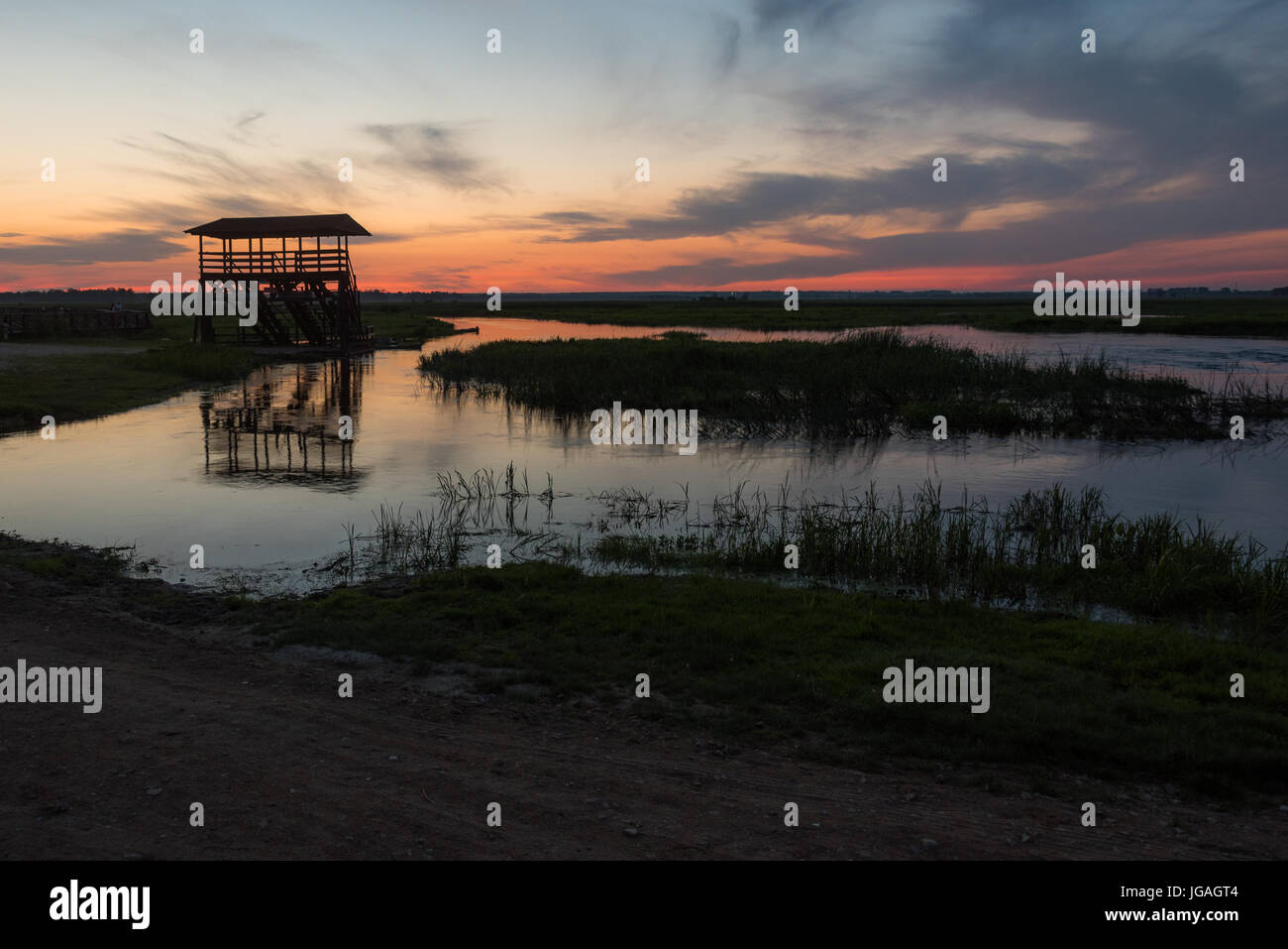 Narew National Park Banque D'Images