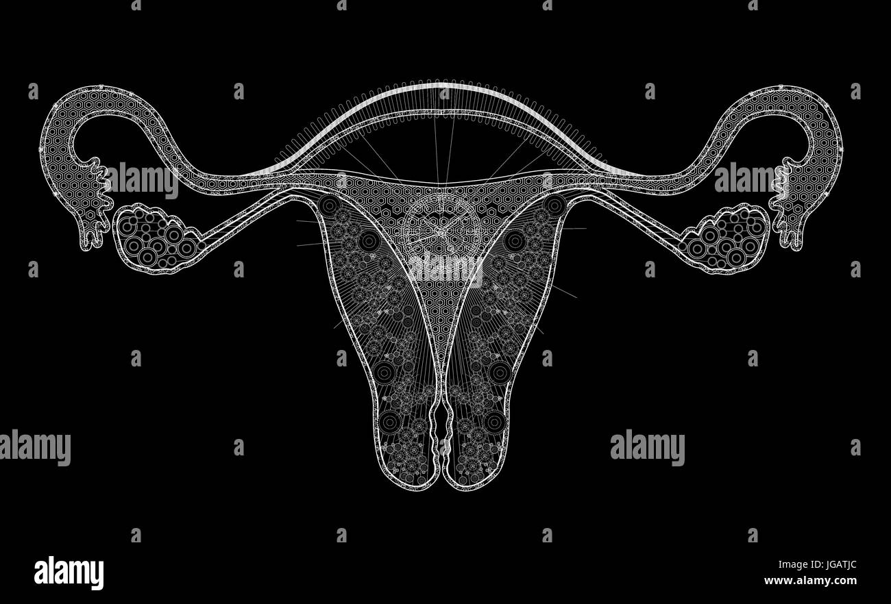 Ligne blanche illustration des droits de l'appareil reproducteur féminin sur fond noir et l'heure de réveil Banque D'Images