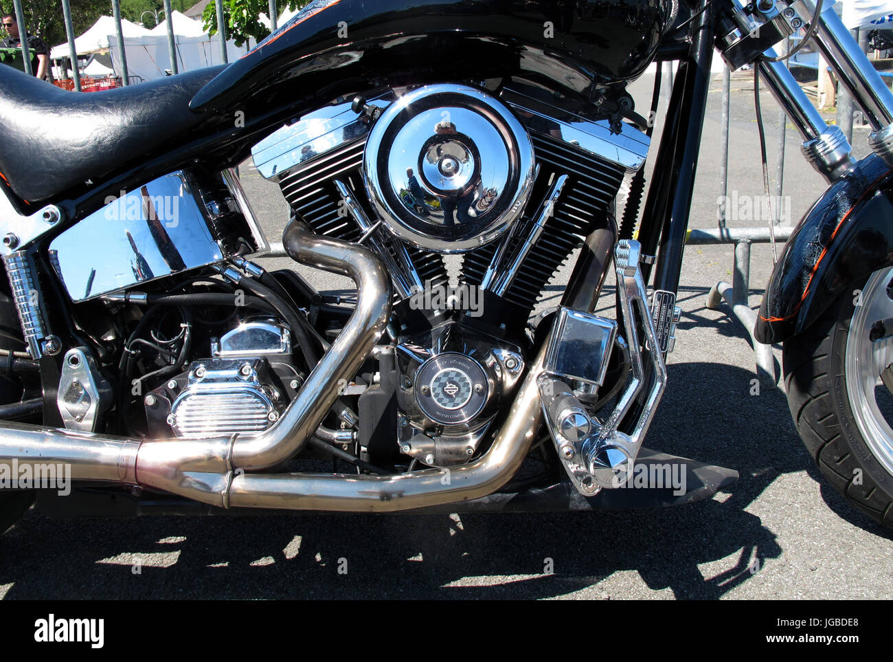Harley davidson 1200 custom Banque de photographies et d’images à haute ...